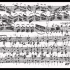 【小提琴】亨里克·谢林 恰空舞曲（夏康舞曲） Partita No.2 In D Minor, BWV 1004-Cha