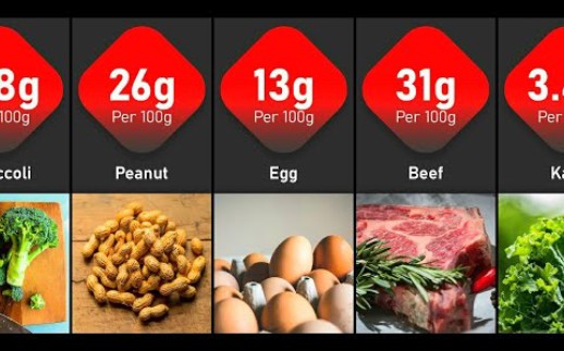 蛋白质比较：世界上蛋白质含量最高的食物