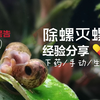 【草缸】除螺灭螺的那些方法，下药/手动/生物