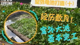 0cd08a659dcbbbdef1b4231fc17ff88e2f5bfde5.jpg@280w_158h_1c_100q.jpg
