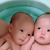 双胞胎出生37天，每天最舒服的时候就是洗澡澡