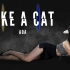 【懵小巧】AOA like a cat 巧儿化身猫猫女魅惑又性感   您的猫咪快递到了，麻烦签收下！！！