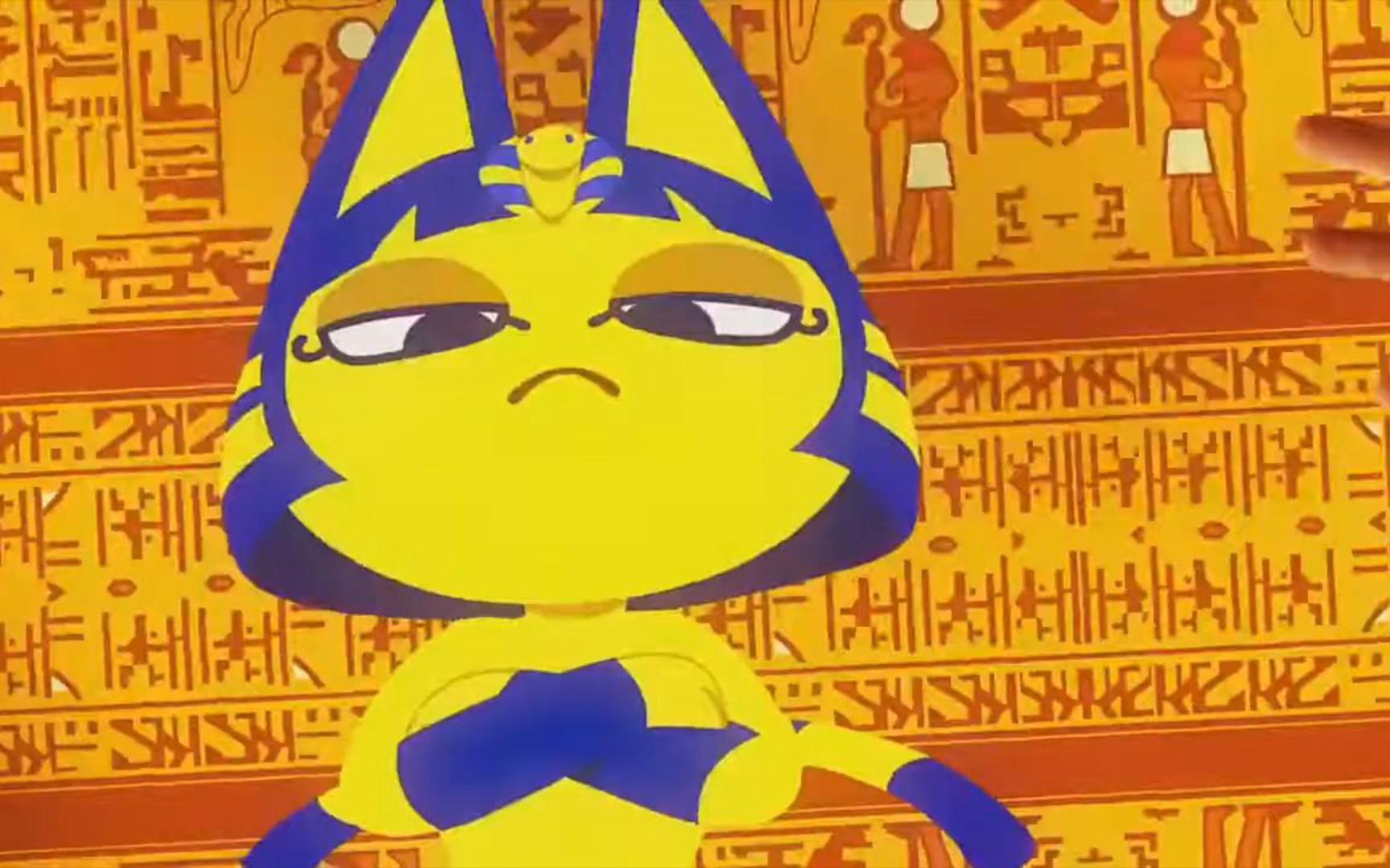 【猫片】埃及猫原版视频