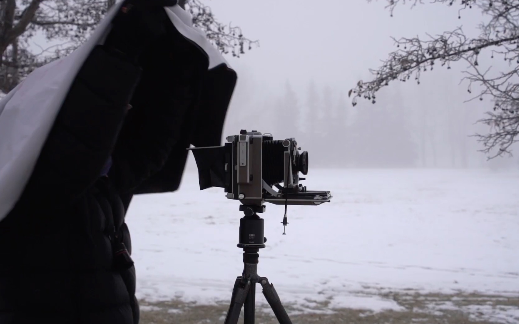4×5林哈夫大画幅技术相机 基本操作及拍摄