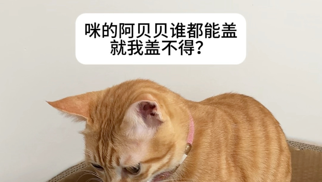 咪就这样针对我