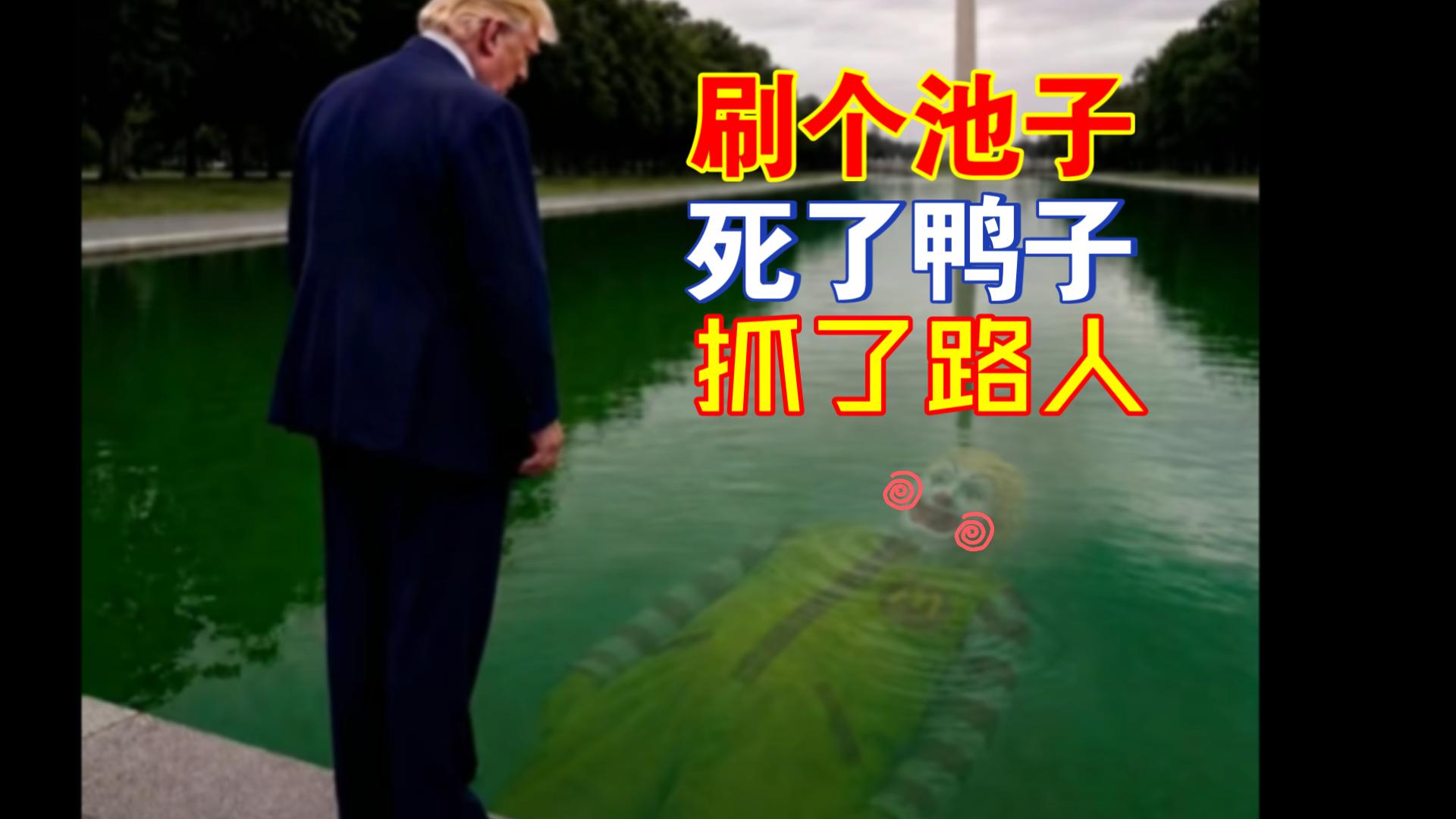 捡块油漆就被逮捕？金毛奶龙花1400万美元把林肯纪念堂变成了纳垢脓汤？真的如此吗？