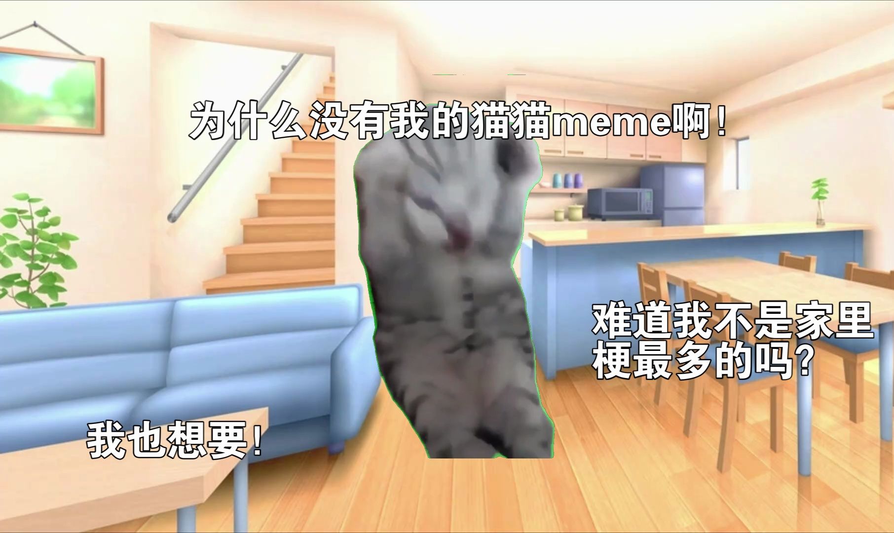 【猫meme】爸爸：你为什么不给我做猫猫meme?