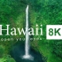 夏威夷 风光 4K 极致色彩 画质测试  视觉体验 测试你的屏幕 8K原素材