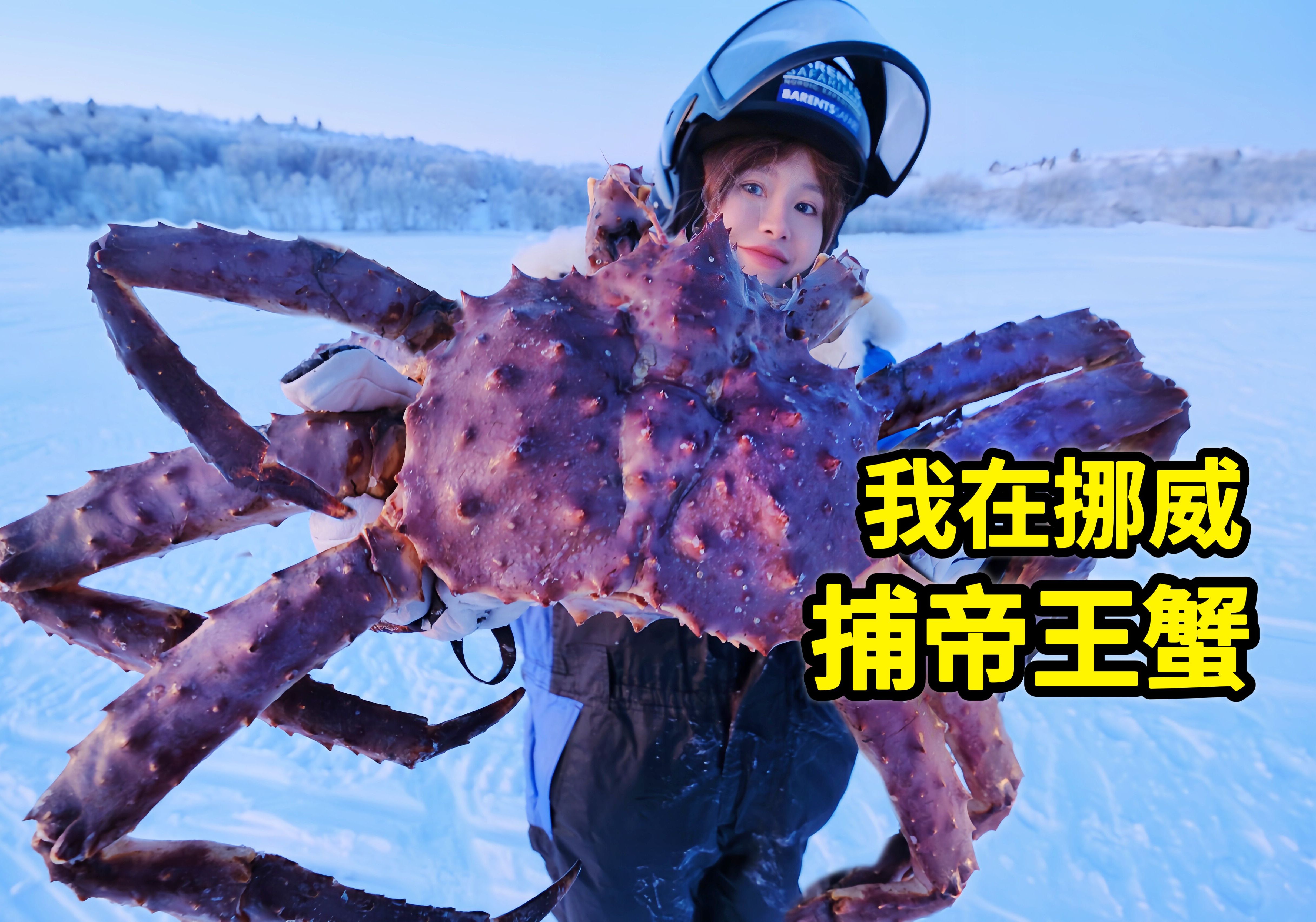 挪威抓帝王蟹，世界最大红王蟹现捕现吃！极北之地的美味