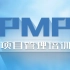 pmp项目管理《PMBOK指南》从入门到精通