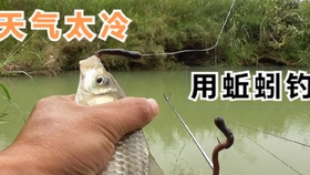 0d68cc3a101b7cc29078c8e4aa1a8a7e7ccb3dc4.jpg@280w_158h_1c_100q.jpg