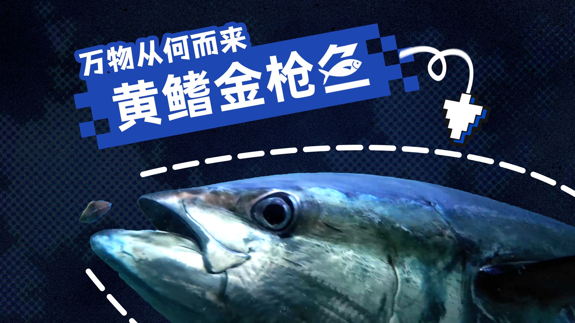 从深海到餐桌，想吃金枪鱼还能自己养？