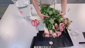 0d7b1cbc62d18ea91fdcce875ddab68268a556cc.jpg@280w_158h_1c_100q.jpg