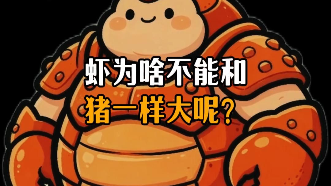 虾为啥不能和猪一样大呢？