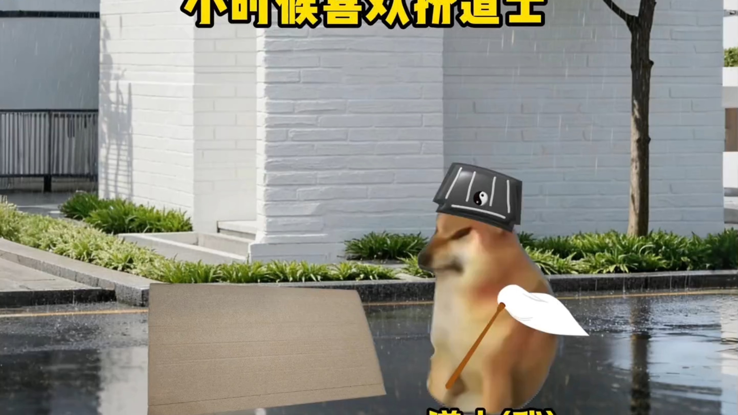 小时候喜欢扮道士