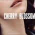 【新泄弃曲试听】Lana Del Rey - Cherry Blossom