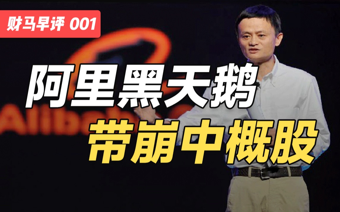 马云减持、停止阿里云分拆、暂缓盒马上市,中概股如何被带崩?【财马早评】哔哩哔哩bilibili