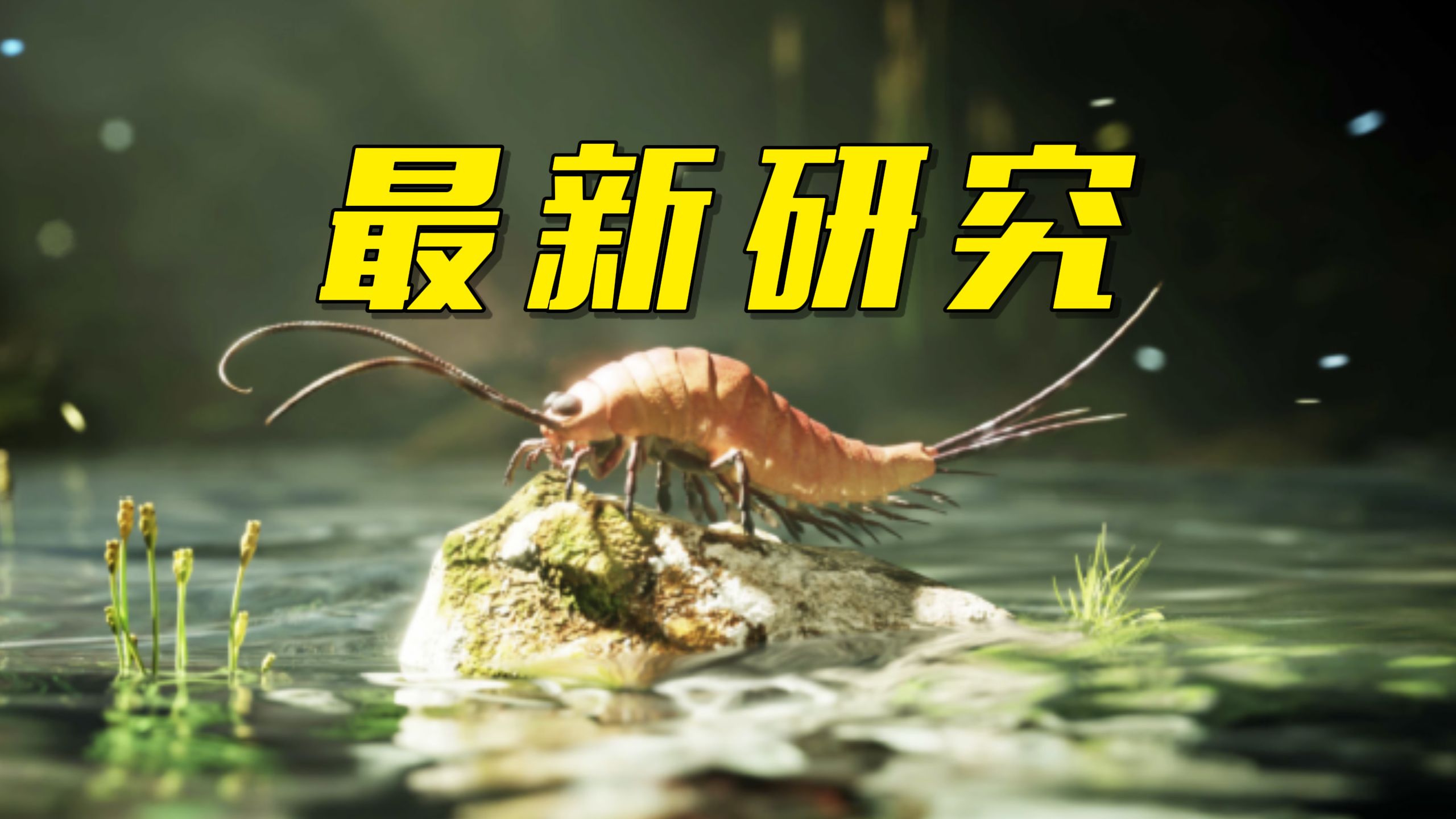 最新研究揭示昆虫从水生到陆生的演化进程