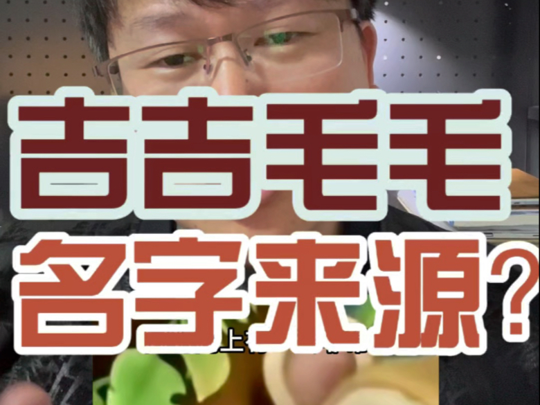 吉吉毛毛名字来源？