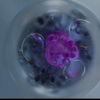 质感/创新生物制药/公司宣传片/公司形象片