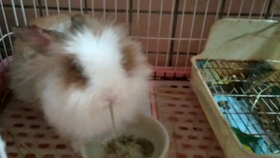 0de8dffe725834f8e53216d16682806a4a3f0342.png@280w_158h_1c_100q.jpg
