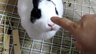 0df7bb064bc768307aa508cd62182a2b1503f5fd.png@310w_174h_1c_100q.jpg