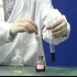 氯水与石蕊实验