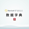 Navicat 17 新亮点 | 数据字典