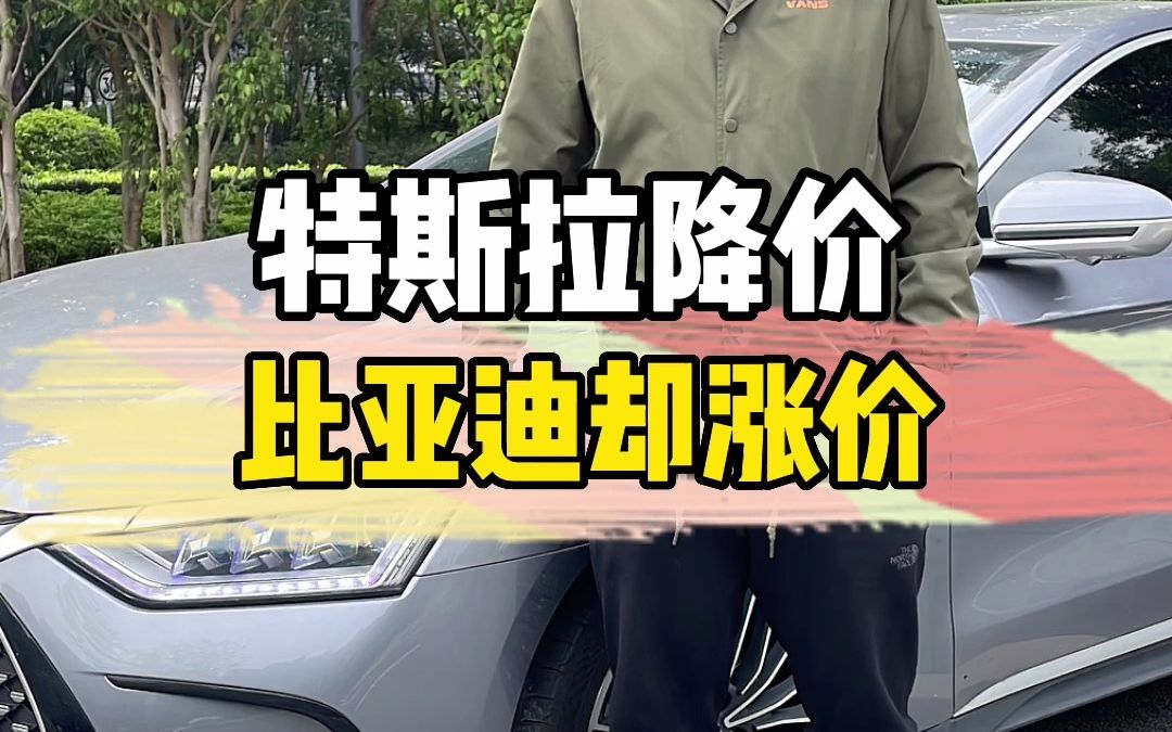 比亚迪涨价特斯拉却逆势降价,为何会这样?