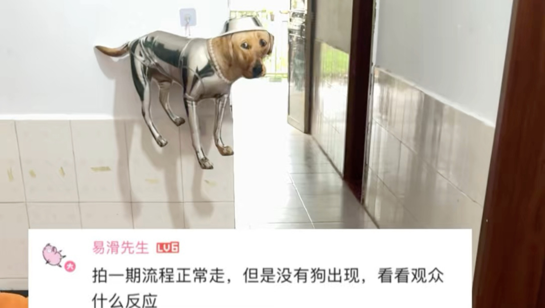 喊开饭，但是没有狗
