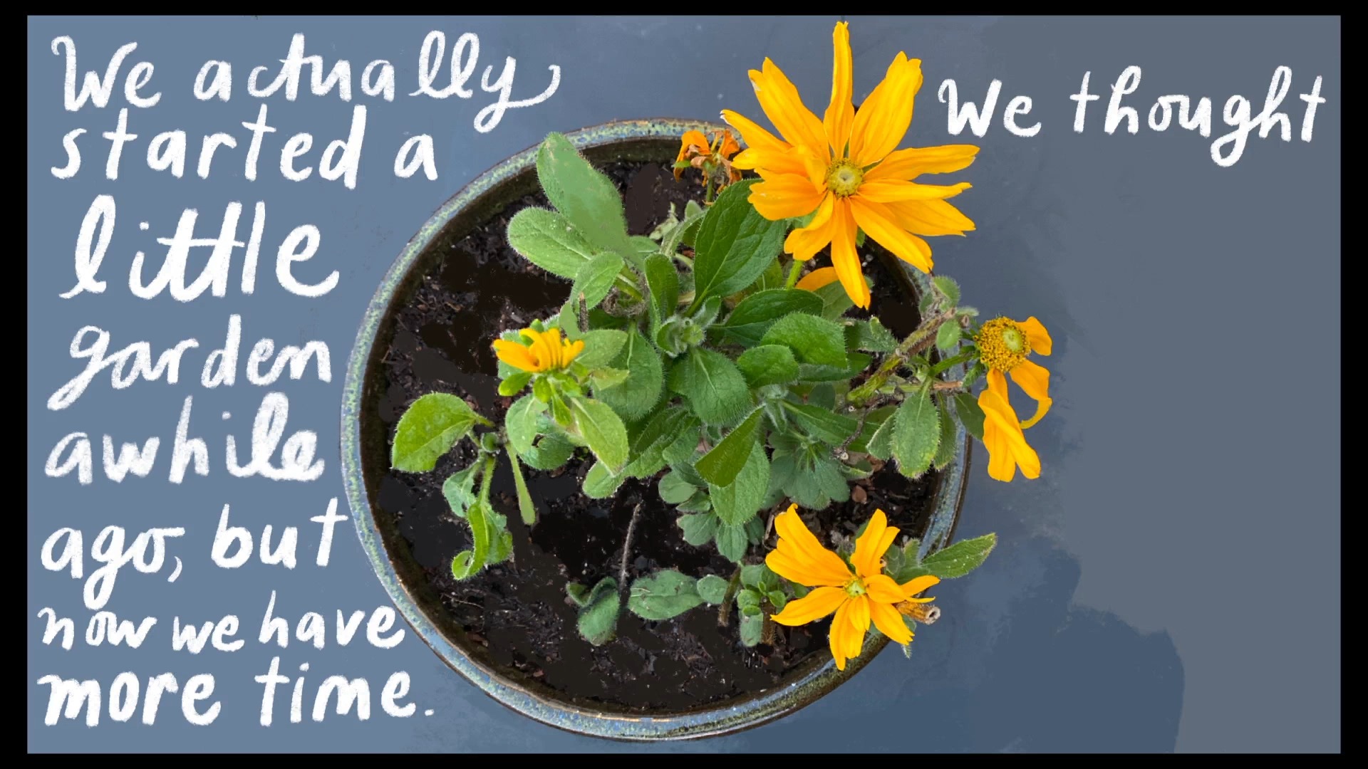 给我们珍视之物的一封情书【TED-Ed】