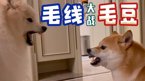 0e51285ce4f22544ba64e701383cc8a209de77a4.jpg@480w_270h_1c