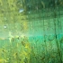 清澈见底的珍珠泉，用GOPRO模拟潜水效果