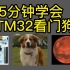 5分钟学会STM32看门狗，简单清晰，三个注意问题
