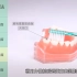 一起来学习刷牙啦，此视频转发于中华口腔医学会，关注牙齿健康。巴氏刷牙法