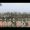 鹤舞白沙，我心飞翔