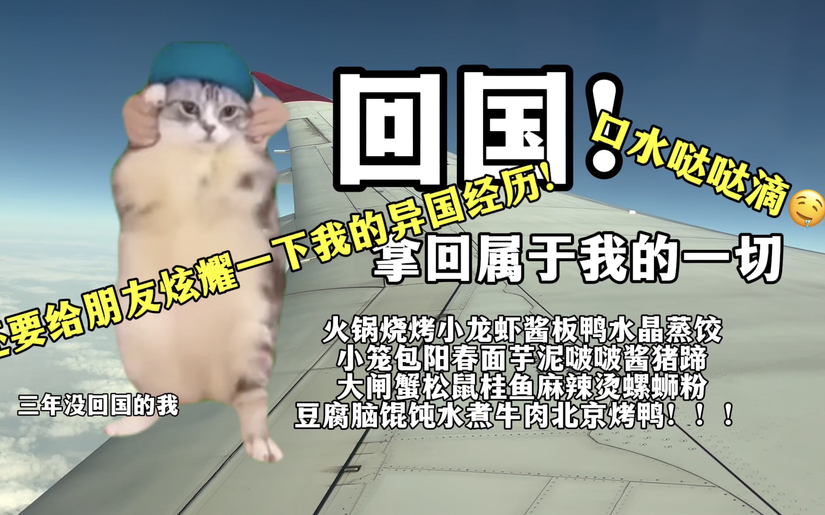 【猫meme】乡巴佬留学生回国记1.0