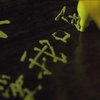 周杰伦《不能说的秘密》节选（杰迷自制
