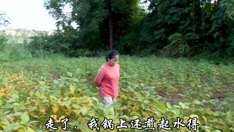 0eba759839d0c501f3249873350b6ff785e06abf.jpg@480w_270h_1c
