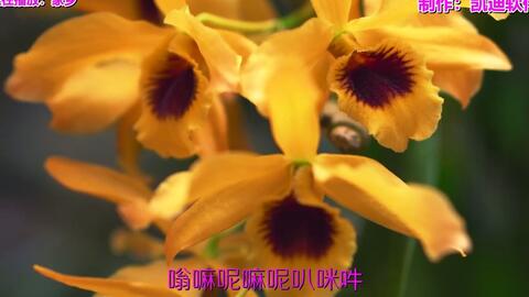 0ef2f6201fad5e762e68b8dbd8ec9310ea8d927a.jpg@480w_270h_1c