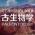 古生物学 - 南京大学（国家精品课）