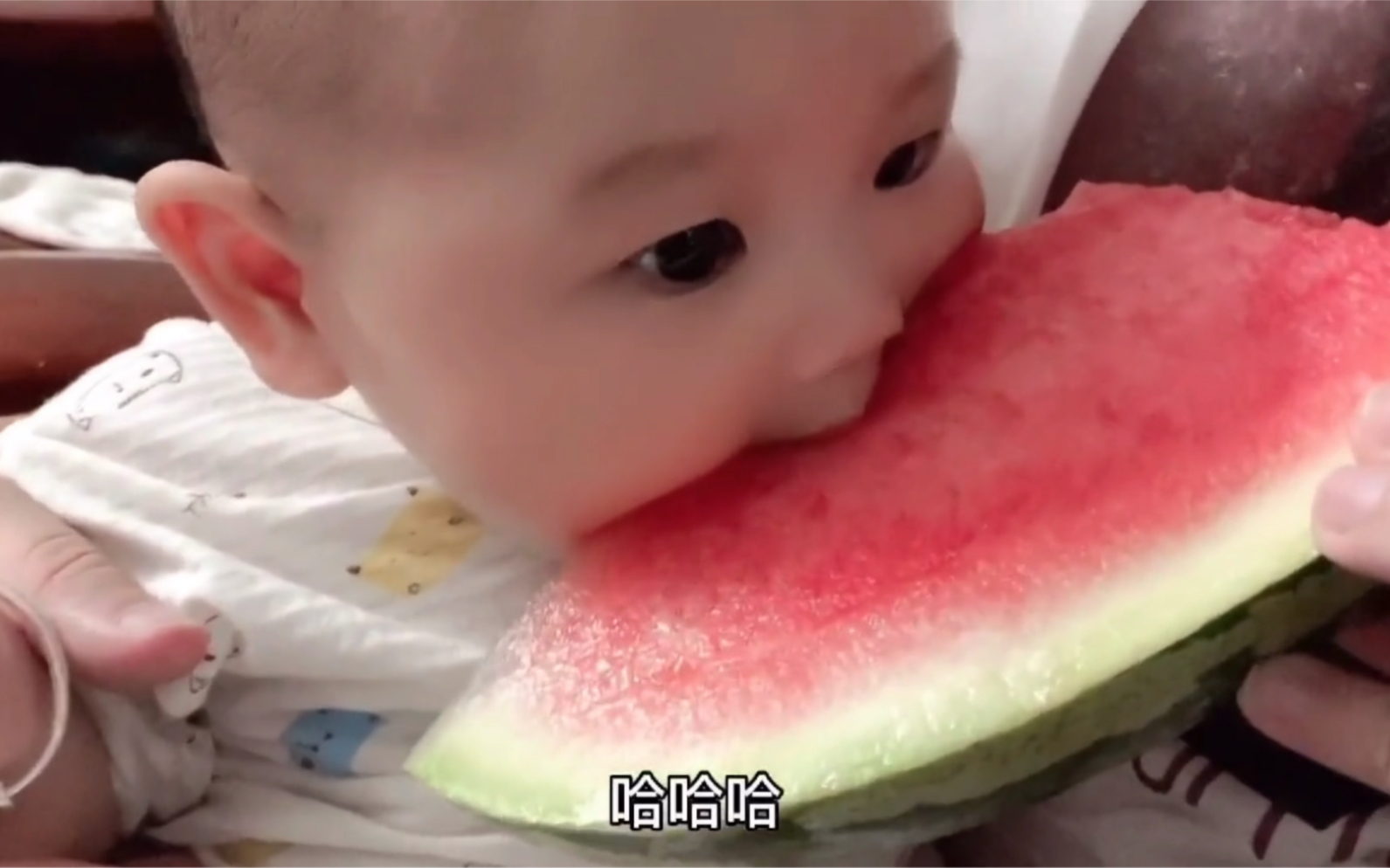 人类幼崽第一次吃西瓜，一发不可收拾，像小仓鼠一样开始抢食