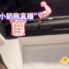 小奶狗直播