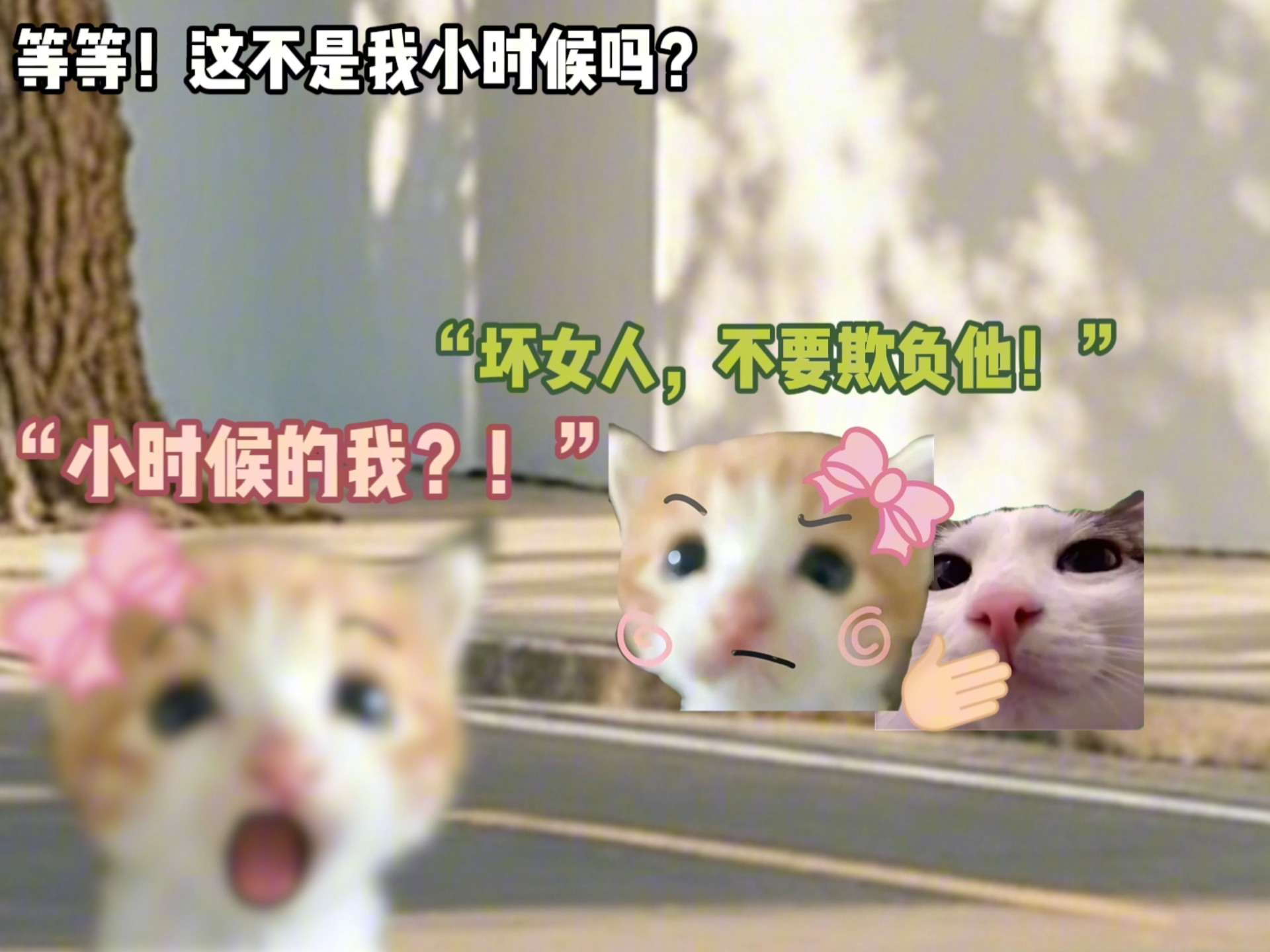 等等！咱们不是死对头吗？