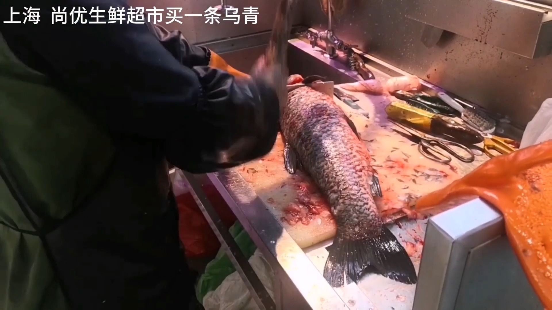 在尚优生鲜超市买了一条青鱼，10斤的乌青。