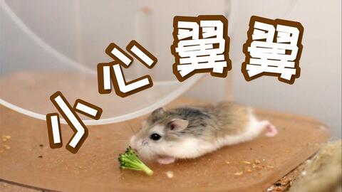 0f9d3f5dda8c7041f70def325b9b56b719a2465b.jpg@480w_270h_1c