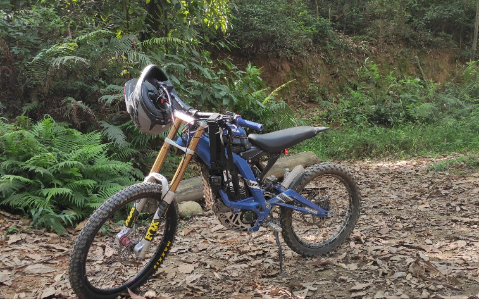 爆改完全体轻蜂虬龙首次冲山