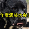 感谢各位朋友2024的支持，祝大家2025好运连连！幸福安康