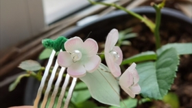 粉色小花是什么花 0fb8593449df9aae8e12cd070c1262c5fd1355c7.jpg@280w_158h_1c_100q.jpg