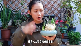 兰花浇水多久合适 0fbc12eb23d9ca7263d1c35e548ff80cee3b563d.jpg@280w_158h_1c_100q.jpg